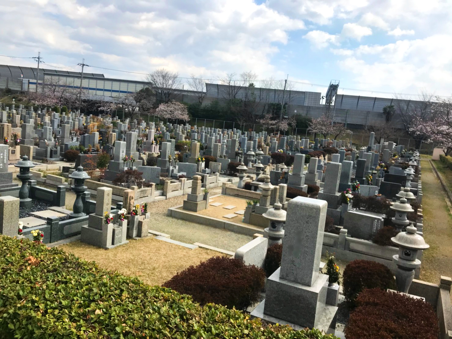 弥生ケ丘 墓 園