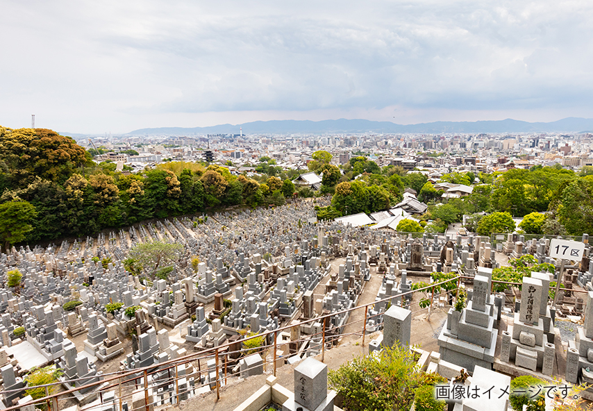 新田町有墓地