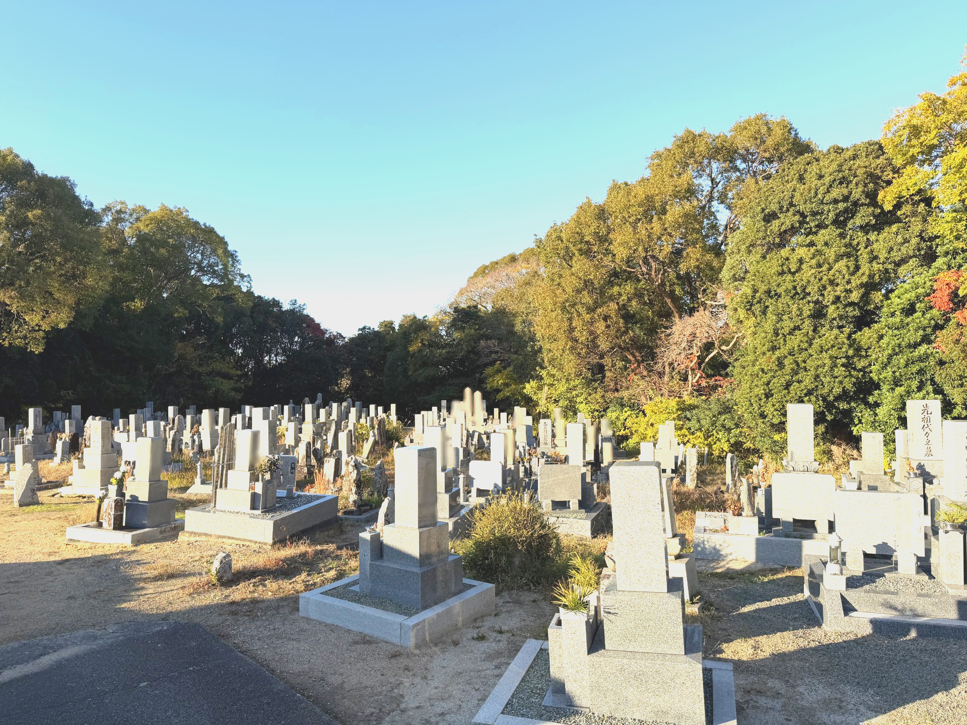 貝掛共同墓地