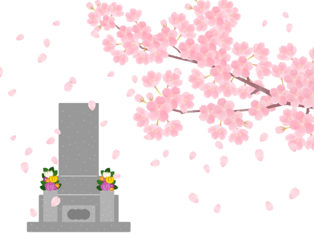 お墓と桜の関係は？花言葉から探す追悼や悲しみをあらわす春の花