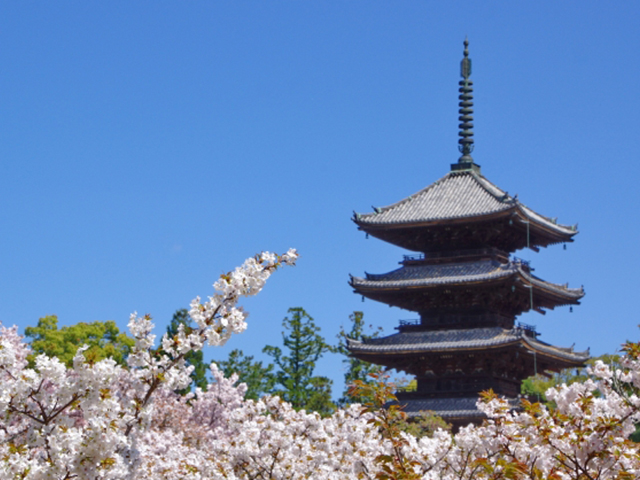 一度は見ておきたい重要文化財シリーズ・京都の旅編