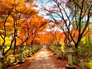 一度は見ておきたい重要文化財シリーズ・京都の旅編・その２
