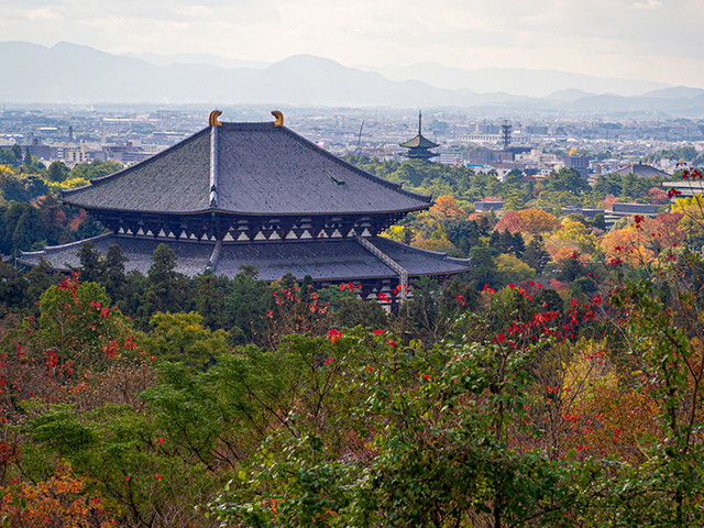 一度は見ておきたい重要文化財シリーズ・奈良の旅編