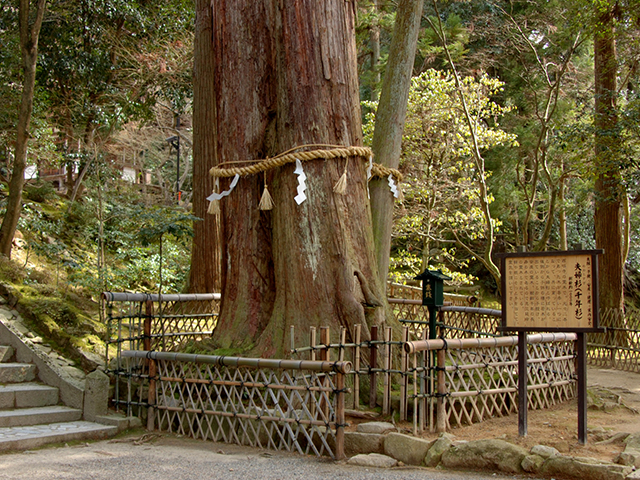 一度は見ておきたい重要文化財シリーズ・滋賀の旅編・その3