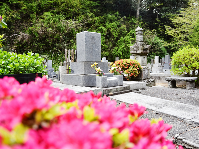 植木のあるお墓を建てたい。注意点やおすすめの樹種は？