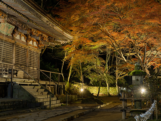 一度は見ておきたい重要文化財／石塔シリーズ・奈良の旅編・その3