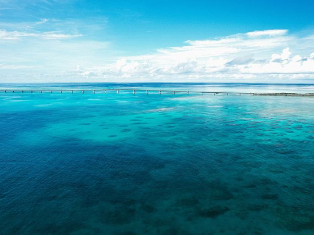 海洋散骨のあとにお墓参りをしたくなったら？供養の方法を紹介