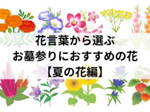 花言葉からみる、お墓参りにおすすめの花【夏の花編】