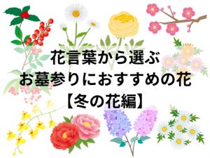 花言葉からみる、お墓参りにおすすめの花【冬の花編】