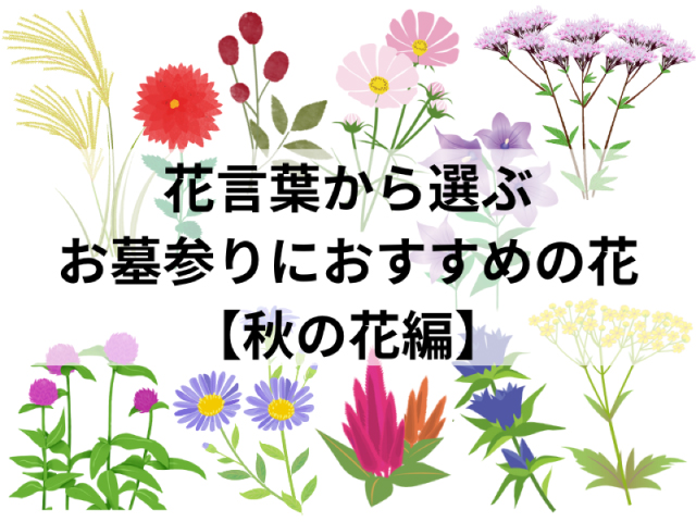 花言葉からみる、お墓参りにおすすめの花【秋の花編】