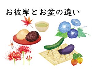 お彼岸とお盆は何が違うの？〜意味や由来、やるべきことの違いを解説します〜