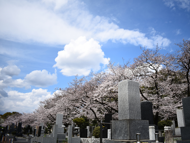 公園墓地とは？メリット・デメリットを紹介します