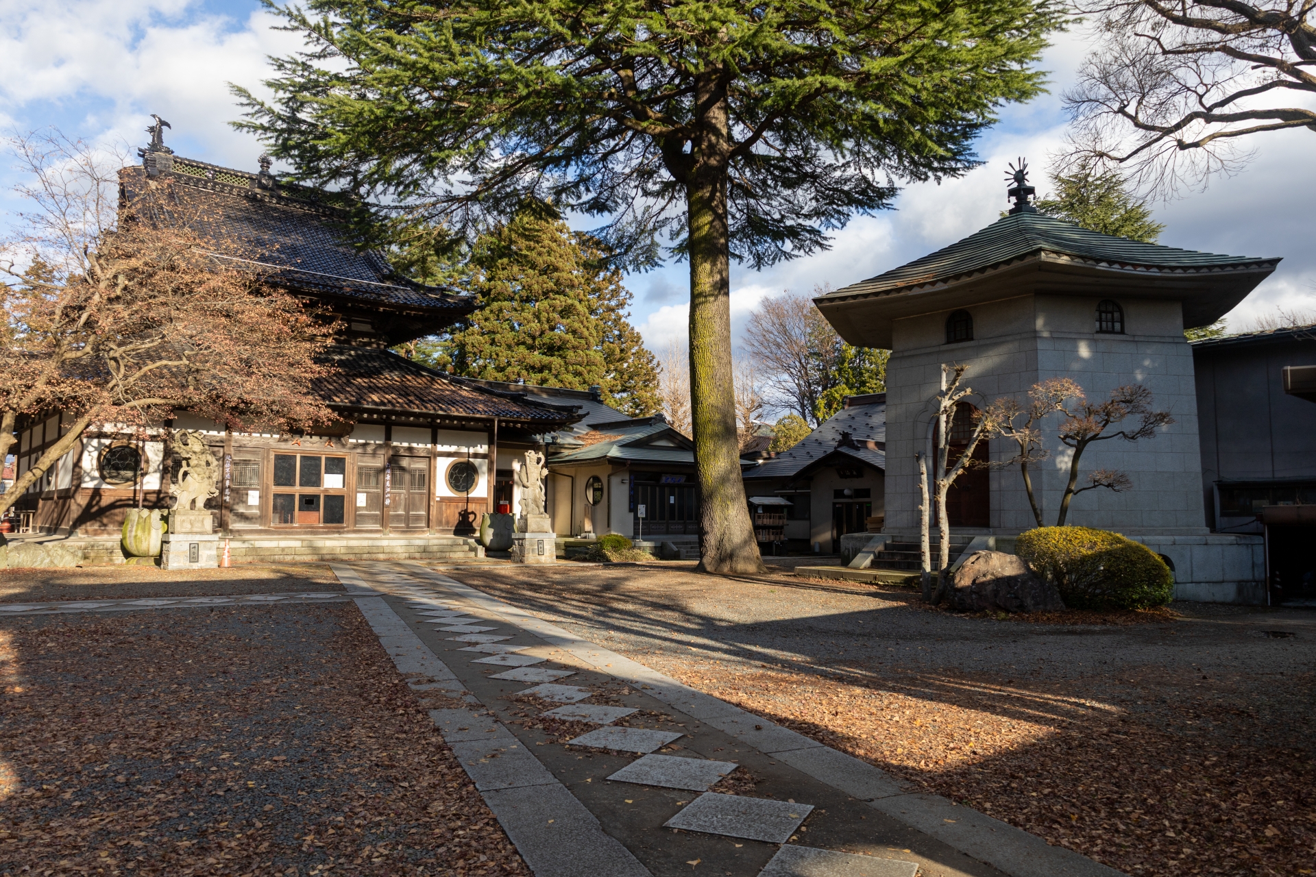 東京都・神奈川県で樹木葬・永代供養のできるおすすめ霊園4選