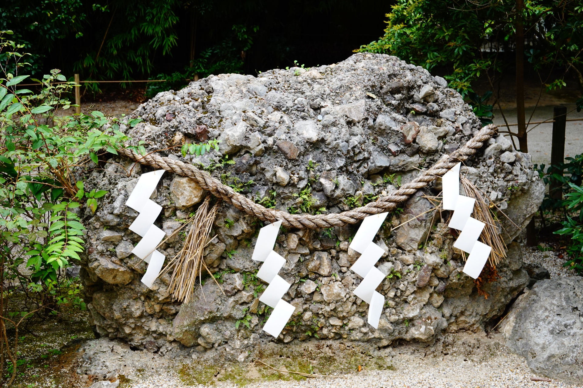 国歌にも出てくるさざれ石とは？成り立ちから見られる場所まで分かりやすく解説します