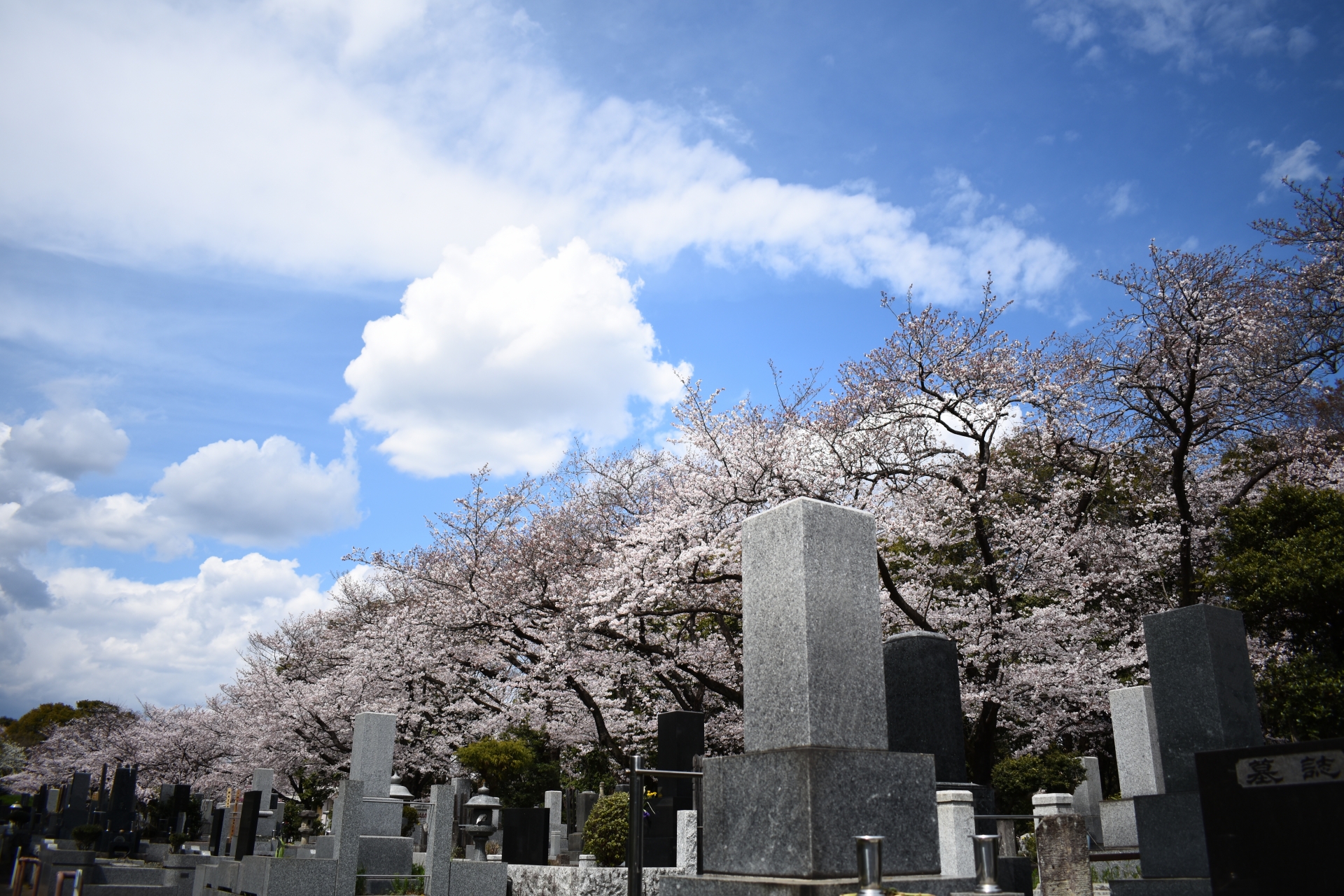墳墓（ふんぼ）とは？お墓や納骨堂との違いや埋葬までの流れ・費用まで徹底解説します